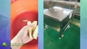 Машина для нарезки картофеля дольками Vega Dicer Village Potatoes