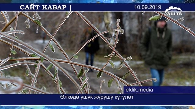 Бишкекте айдоочу унаасын башкара албай калып, жол четиндеги тосмону сүзгөн