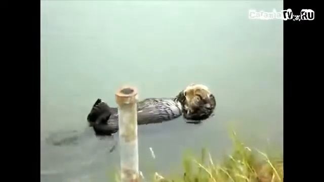 +100500 Взгляд В Душу смотреть онлайн