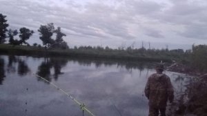 р.Урал ловля Сома