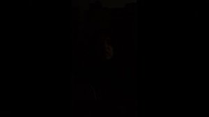 Мирный воин