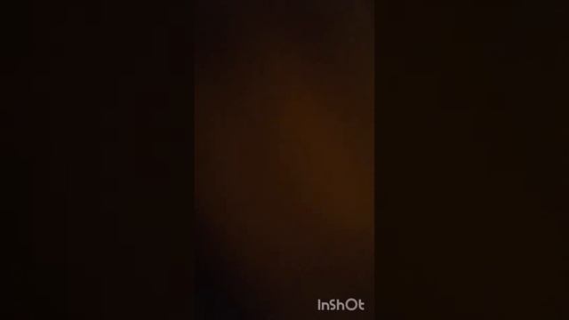 Мишка, Снежок и бумажный монстр