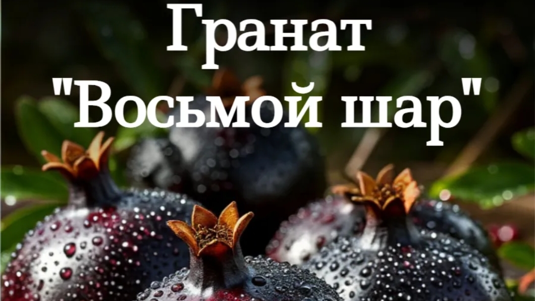 Гранат восьмой шар смотреть онлайн