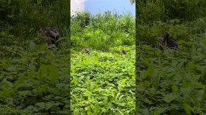 Блог про общие бани в Германии