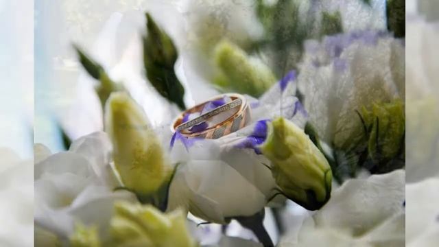 Елена Севрюкова