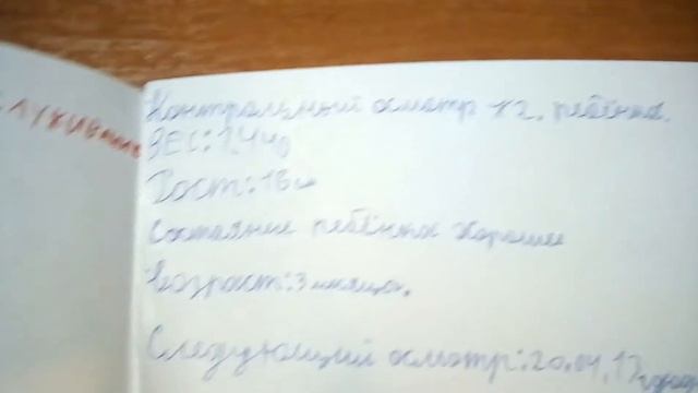 Мед карта для Пушка