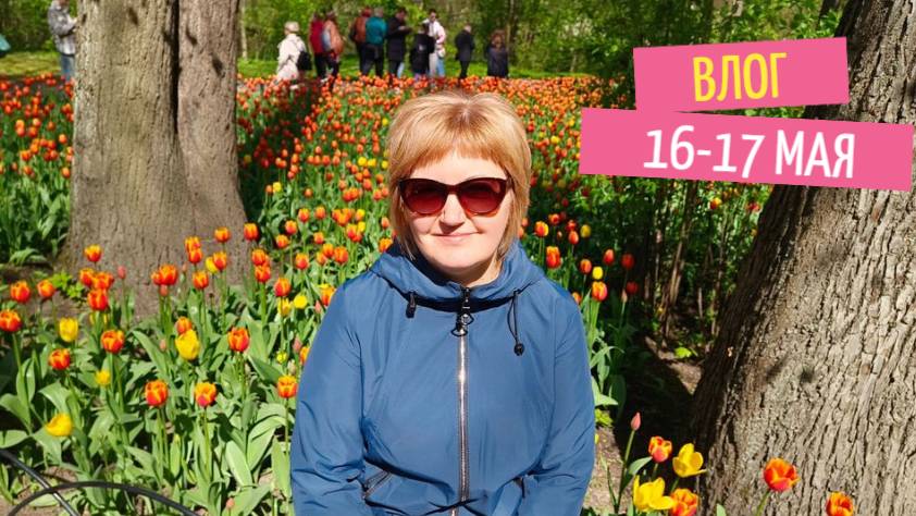 Продвижения,покупки и фестиваль тюльпанов смотреть онлайн