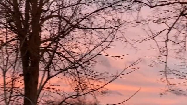 Стих: наши заботы