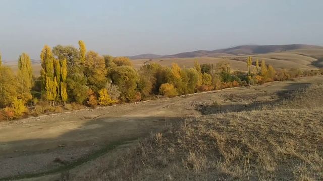 8 ноября 2020 г.