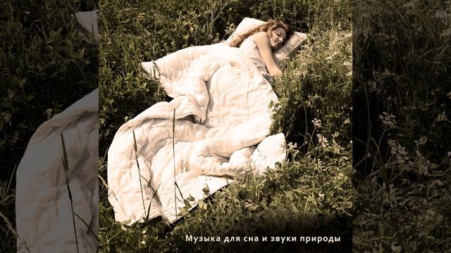 Верь мне смотреть онлайн