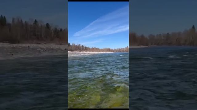 СПЛАВ. Река Снежная. Выдрино. Байкал. Май, 2024