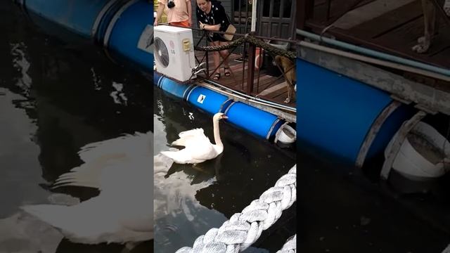 Уйди ты меня раздражаешь! смотреть онлайн