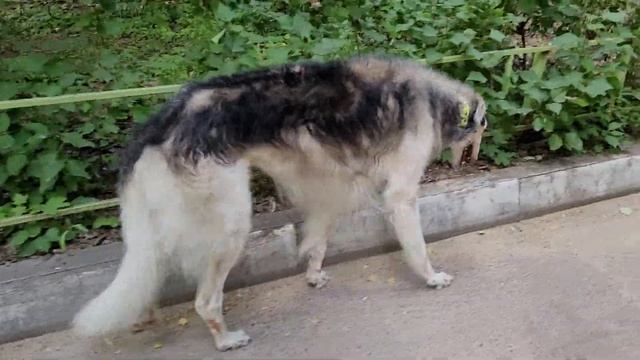 17 августа 2022 г.