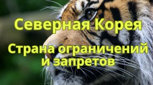 Северная Корея - страна ограничений и запретов.