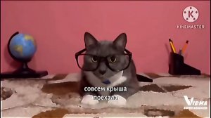 генадий петрович говорить совсем крыша поехала с еффектами