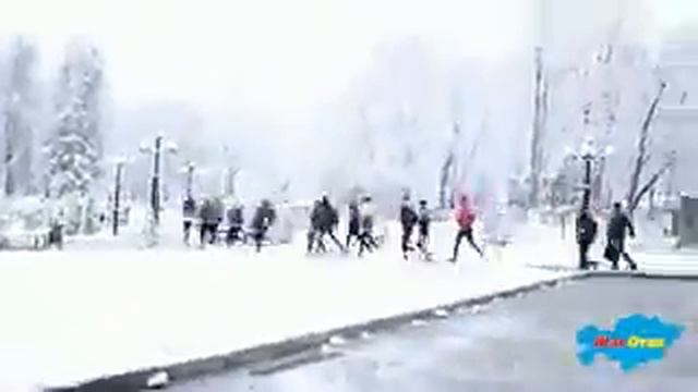 Открытие весеннего сезона Streetworkout