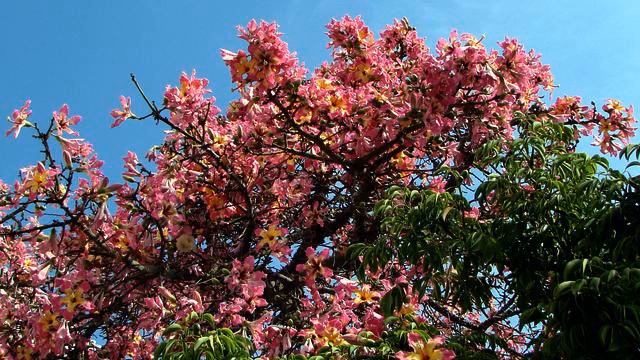 Канал лучших русских хитов музыки и фото онлайн