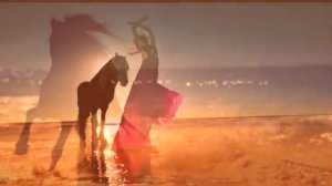 Ту Мри Бах Чачунэс Стефан Ангарец и Виджай Плащун  Романэ гиля