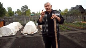 Посадка картофеля