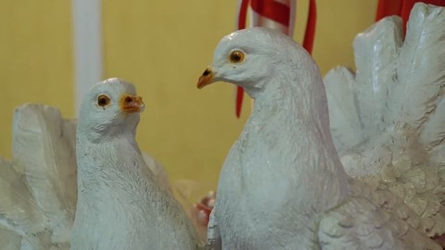 20 августа Дмитрий и Екатерина