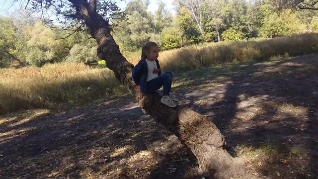 Бабье лето - последние теплые солнечные сентябрьские дни 4