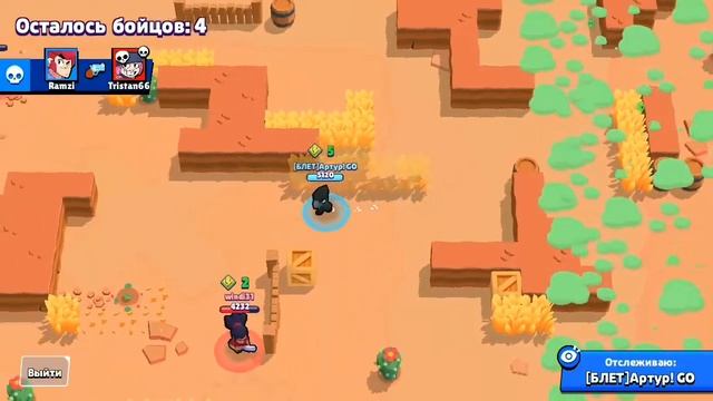 ТОП 5 ЛУЧШИХ КАНАЛОВ