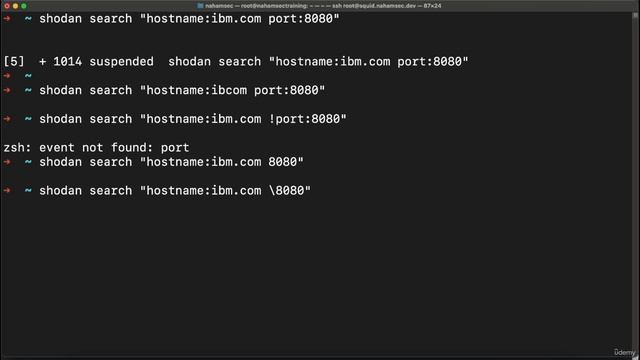029Shodan CLI Examples смотреть онлайн