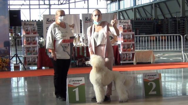 142  Екатеринбург 11.10.2020.