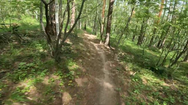 Егоза. Трейл 