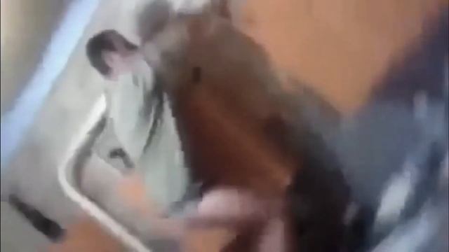 идиоты, придурки, дибилы  и т п  80-ый уровень