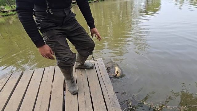 17.05.25 г Парк отдыха водопад смотреть онлайн