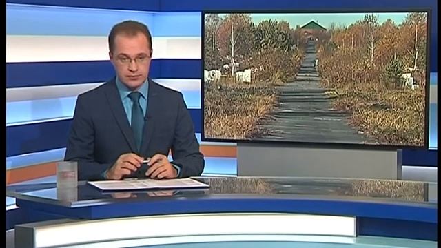 Телевизионная служба новостей (11 октября) смотреть онлайн