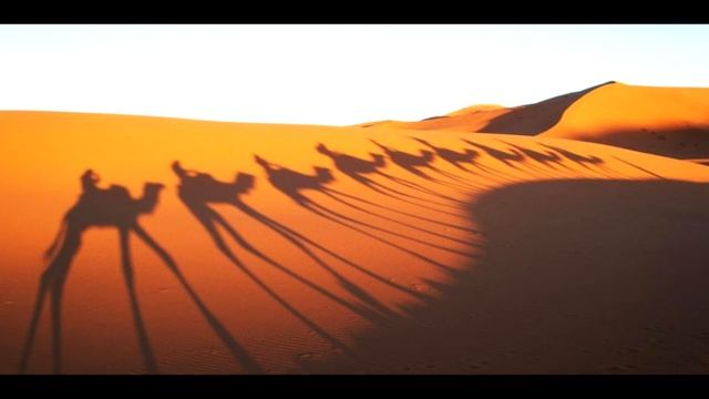 Ваєшев (Буття 37:1-40:23)