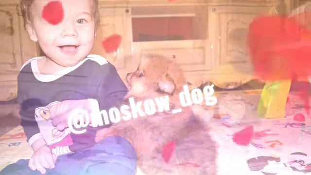 Мини девочка др19.12.2020г