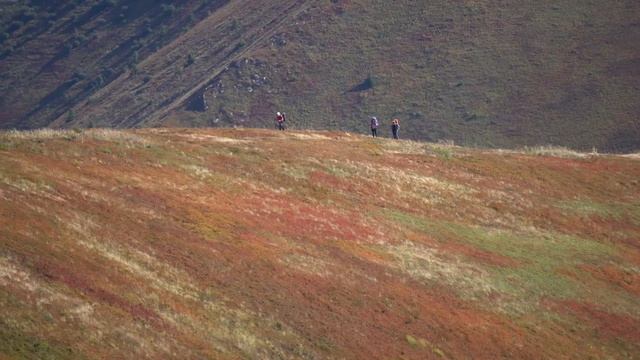 Одноденний похід. Боржава, г.Великий Верх, Стій, Гимба. Протяжність 22км. смотреть онлайн