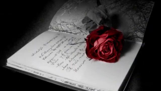 ПАМЯТИ РОМАНА ПОСВЯЩАЕТСЯ