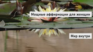Мощные аффирмации для женщин  | Притягивай любовь, изобилие и счастье