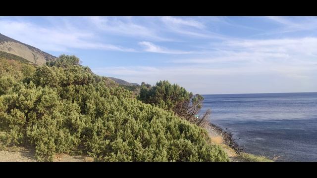 Анапа 2024 смотреть онлайн