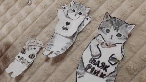 Вечер бумажных Котиков