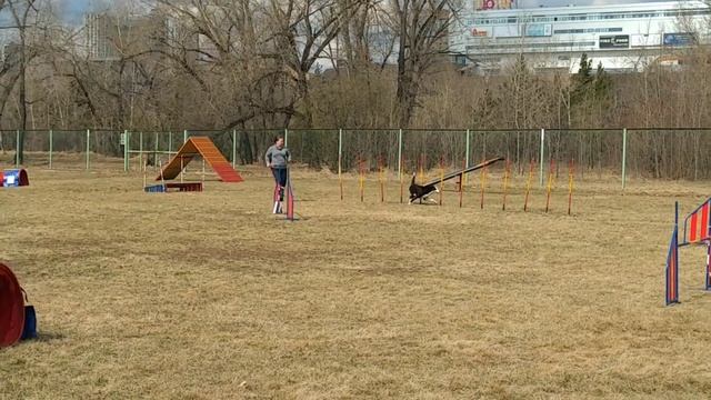 01-02.05.2021 дж Катерина и бордер Варг