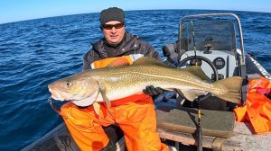 БАРЕНЦЕВО МОРЕ РАДУЕТ ВЕСЕННИМИ УЛОВАМИ
