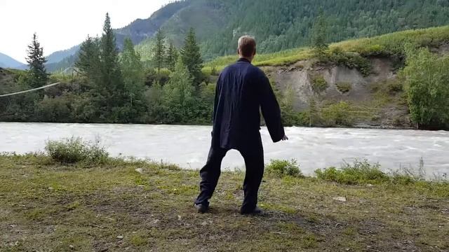 8 форм тайцзицюань   вид сзади 8 Forms Taijiquan  Back View