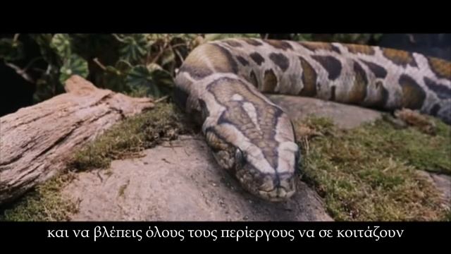 Отрывок первого фильма смотреть онлайн