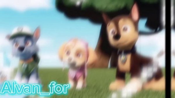 🥰Гонщик и скай🥰 {Сияй}~Chese x Skay