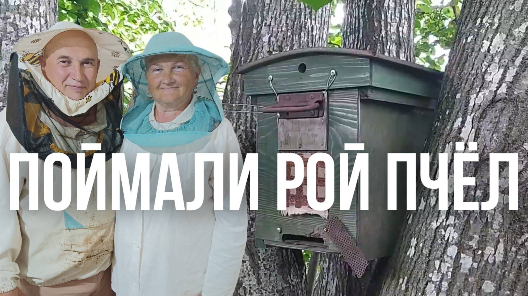 Ловим Диких Пчёл ловушкой в глухом лесу смотреть онлайн