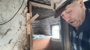 Купили бройлеров. Начали новую стройку. Высадили капусту.