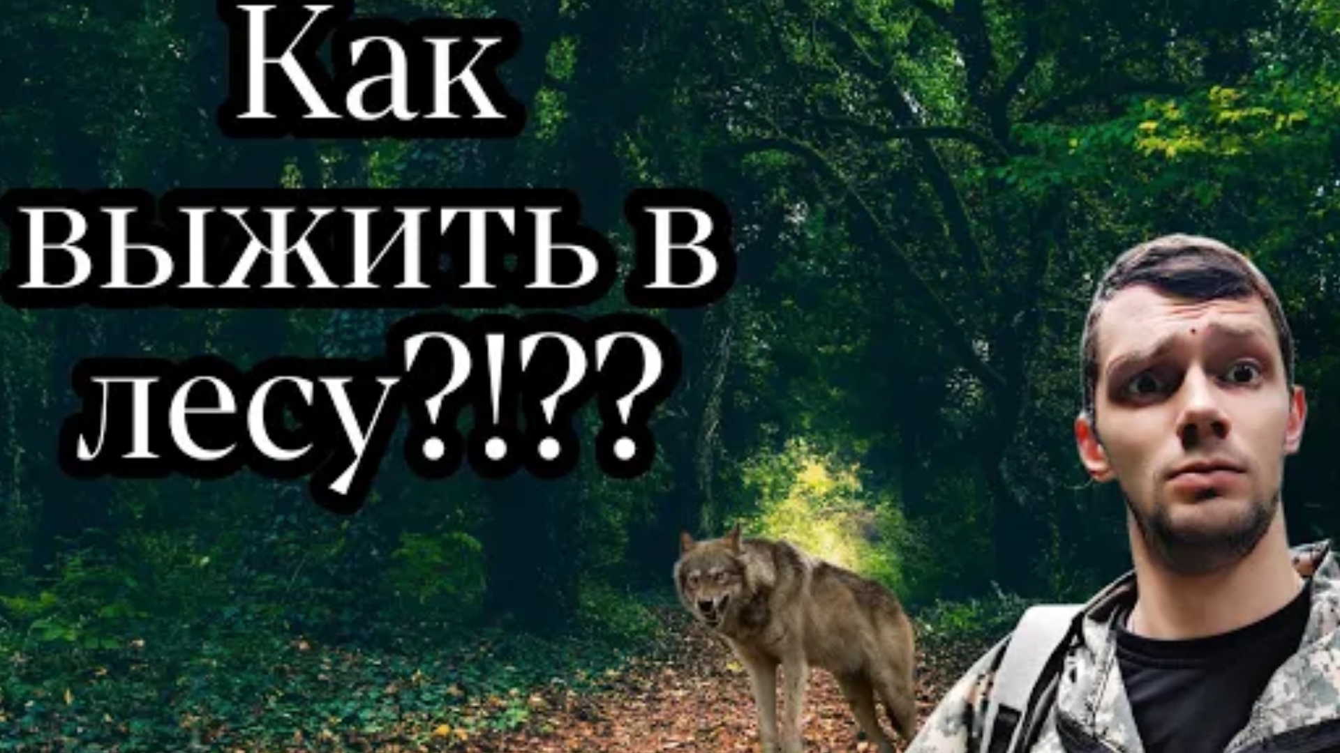 Как Выжить в Лесу ???  Базовые навыки выживания .. Еда ,вода, костер. Выживальщик
