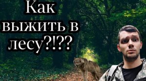 Как Выжить в Лесу ???  Базовые навыки выживания .. Еда ,вода, костер. Выживальщик