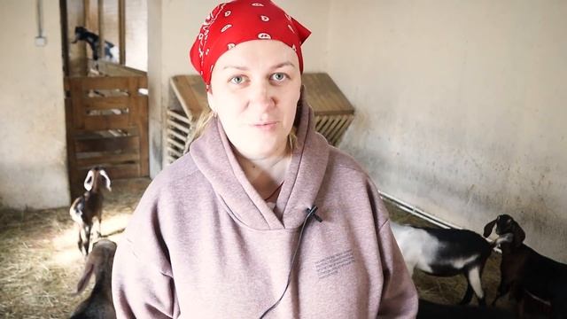 ПРИСМОТРЕЛА СЕБЕ НОВУЮ ФЕРМУ !!! 🏡 смотреть онлайн