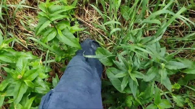 По хребтам Южного Урала. Ягодный, Аваляк, Иремель.